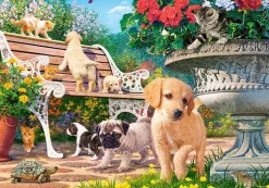 Puzzle Hide and seek 500