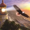 Puzzle High Flight at the Sun Rise