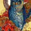 Puzzle Hoot, David Galchutt