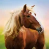 Puzzle Horse at sunrise