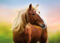 Puzzle Horse at sunrise
