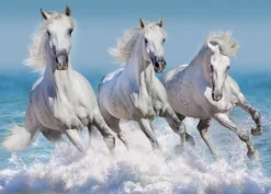 Puzzle Horse Paradise