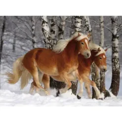 Puzzle Horses Magic : Halflinger III  Difficult