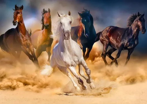 Puzzle Horses Running in the Desert