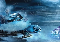 Puzzle House and Turtle