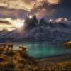 Puzzle Humboldt: Guanacos camels at sundowner