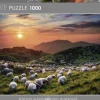 Puzzle Humboldt: Sheep and Volcanoes