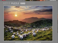 Puzzle Humboldt: Sheep and Volcanoes