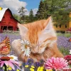 Puzzle I Wuv Flowers