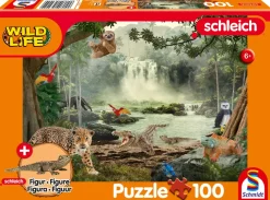 Puzzle In the Rainforest + figure