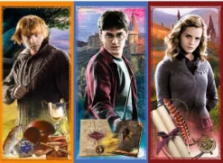 Puzzle In the world of magic Harry Potter