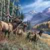 Puzzle James Meger - Elk Anthem