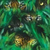 Puzzle Jungle Eyes 1000