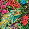 Puzzle Karma Chameleon