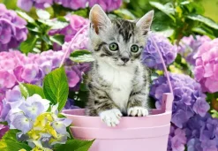 Puzzle Kitten in basket 1500