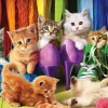 Puzzle Kitten Pride