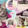 Puzzle Kittens 160 pieces