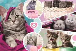 Puzzle Kittens 160 pieces
