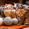 Puzzle Kittens in Basket