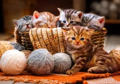 Puzzle Kittens in Basket
