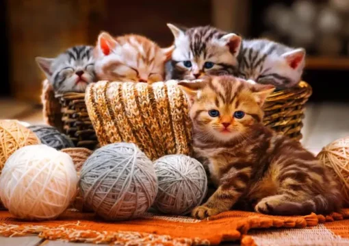 Puzzle Kittens in Basket