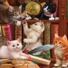 Puzzle Kittens in the Library 500