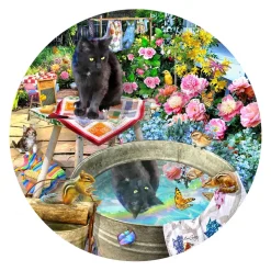 Puzzle Kitty Reflections