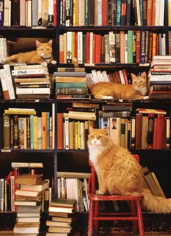 Puzzle Kníhkupectvo Gotham Cats