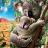 Puzzle Koala and cub