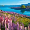 Puzzle Lake Tekapo, New Zealand