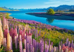 Puzzle Lake Tekapo, New Zealand