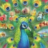 Puzzle Land of Peacock