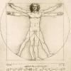Puzzle Leonardo Da Vinci - The Vitruvian Man, 1490