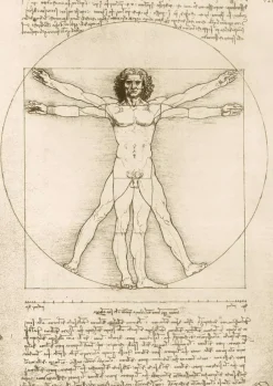 Puzzle Leonardo Da Vinci - The Vitruvian Man, 1490