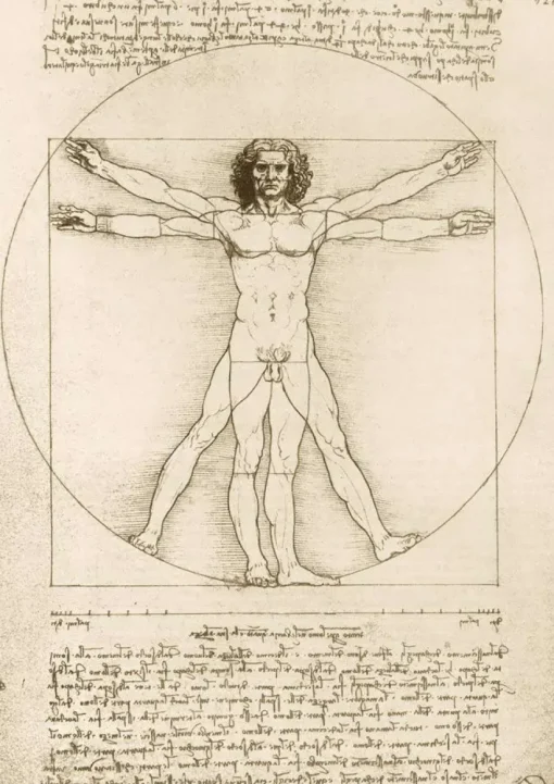 Puzzle Leonardo Da Vinci - The Vitruvian Man, 1490