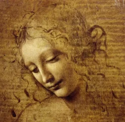 Puzzle Leonardo da Vinci : The Face of Giovane Fanciulla, 1508