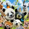 Puzzle Llama drama Selfie