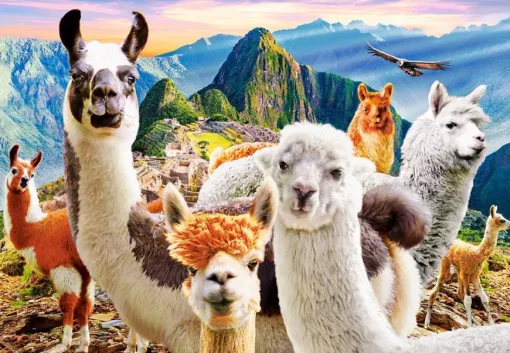 Puzzle Llamas Selfie 1000