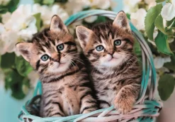 Puzzle Lovely Kitty Twins