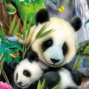 Puzzle Lovely Panda