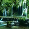 Puzzle Magic Forests: Cascades