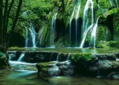 Puzzle Magic Forests: Cascades