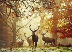 Puzzle Magic Forests: Stags