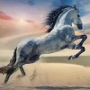 Puzzle Majestic Horse