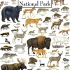 Puzzle Mammals of Yellowstone National Park
