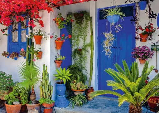 Puzzle Mediterranean front door 1000