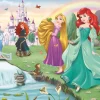 Puzzle Meet the Disney Princesses