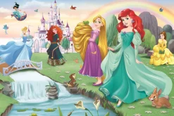 Puzzle Meet the Disney Princesses