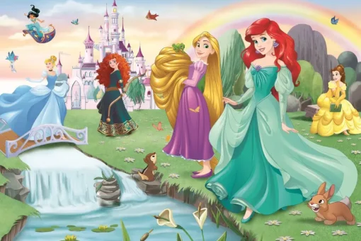 Puzzle Meet the Disney Princesses