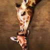 Puzzle Mother and baby giraffe